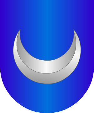 ESCUDO SIGUIENTE